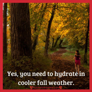 Hydrate in the cooler temps of fall by carrying water.
