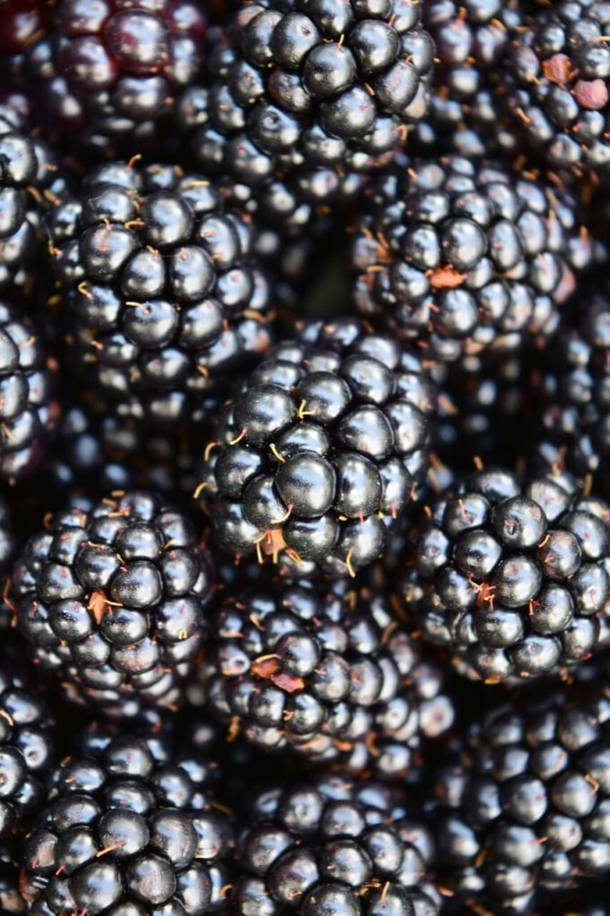 Blackberries are rich in polyphenols that reduce inflammation.