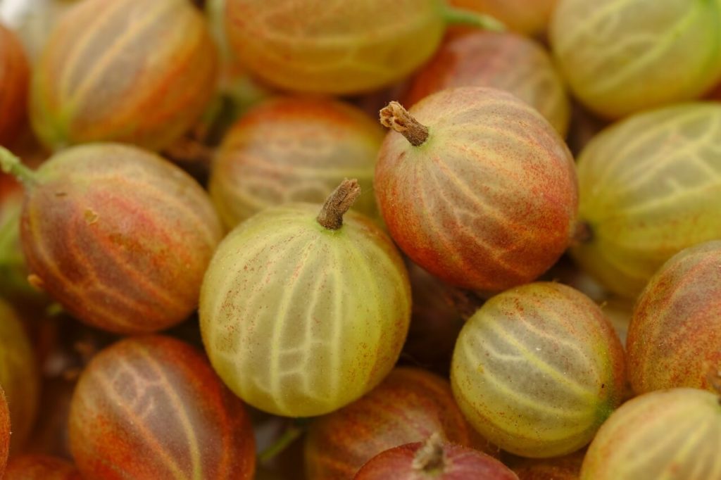 Gooseberries are sweet/tart and support athlete function.